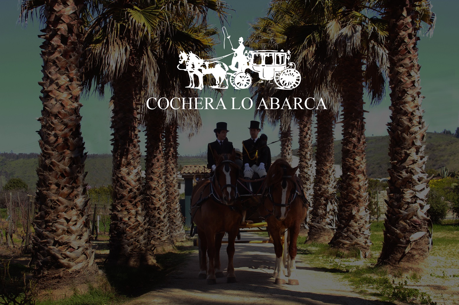 Cochera Lo Abarca