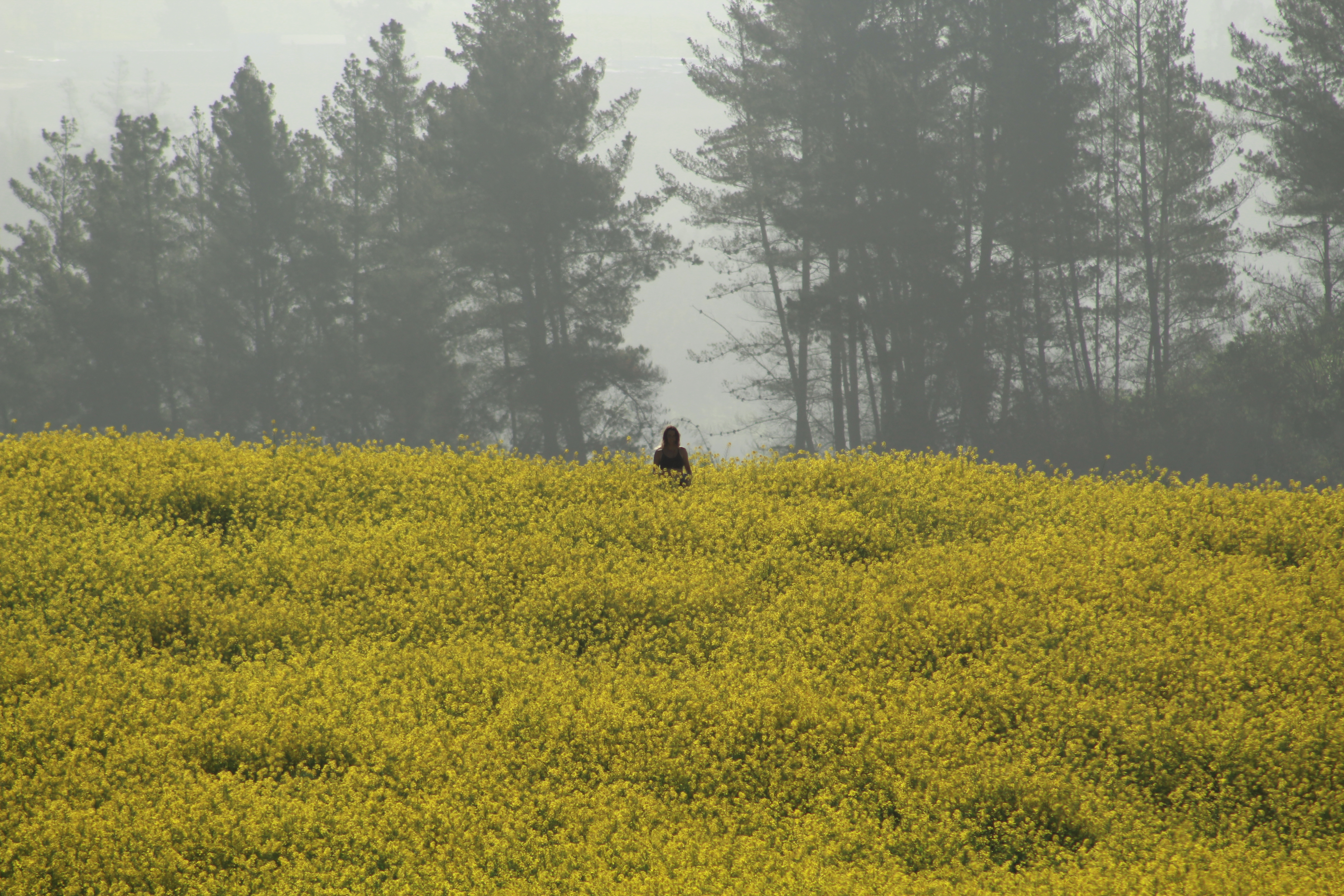 Descubre Cartagena Rural